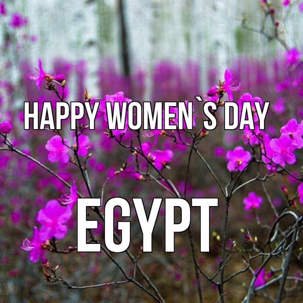 Greetings card с именем, Egypt happy women`s day дикие цветы Greetings with text for free download 